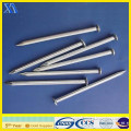 common round nails/round nail clipper/round head shoe nail